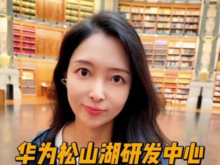 中国企业要靠什么吸引全球人才? 华为松山湖研发中心为什么要叫“欧洲小镇”?#商业新说