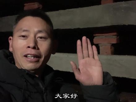 农村女强人养稀奇虫子有方法,一年能卖10几万,比打工还挣钱多