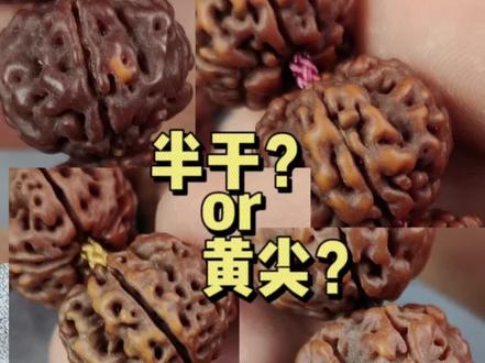 这可不是黄尖呐#金刚菩提 #文玩手串 #干货分享