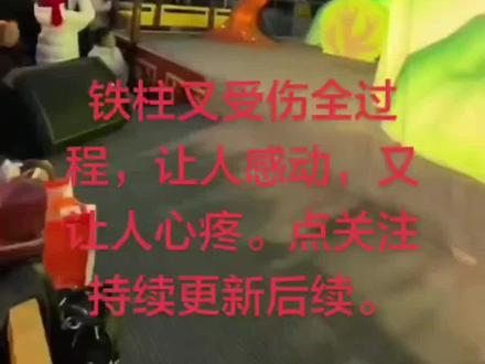 铁柱又受伤全过程,让人感动,又让人心疼。点关注持续更新后续。#雪饼猴 #雪饼猴王铁柱 #长春动植物公园 #长春 #吉林
