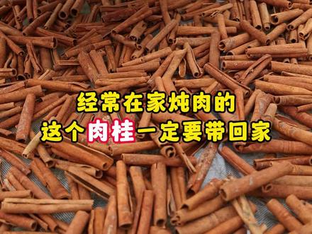 炖肉放了肉桂,去腥解腻又增香,比之前放了桂皮还要香!#香料 #肉桂 #调味料 #八桂香料之都