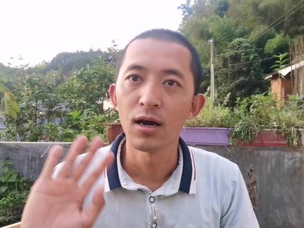 油茶产区能建蜂场吗?为何养蜂人称其为养蜂禁区?让师傅来告诉你