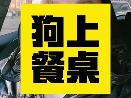 狗上餐桌吃饭,南门涮肉回应
#狗上餐桌 #宠物 #正能量 #生活感悟