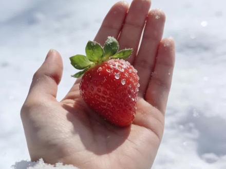 30秒教会你制作水果变房子解压视频 #创作者中心 #创作灵感 #科技下一站 #ai视频制作 #豆包app