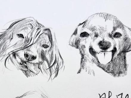 今天依旧猪肝/.#画画 #灵魂画手 #萌物 #吉娃娃 #瑞萌特炭笔