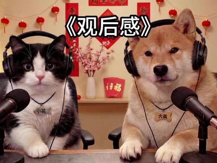 其实已经很不错了~ #萌宠 #春节 #萌宠成精了 #猫 #狗