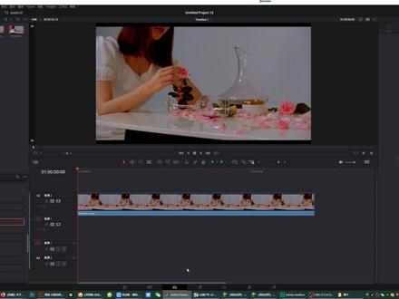 #达芬奇 平滑变速教程