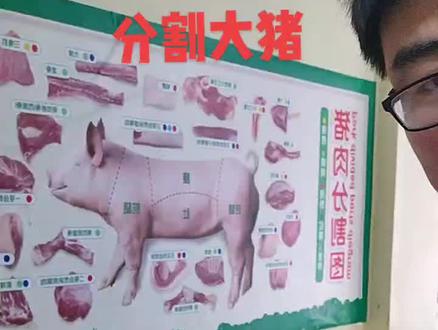 分割半头猪详细教程#同城热门 #放心肉