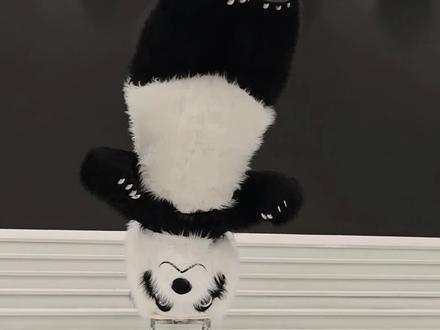 看看舞台上的熊猫里面是什么样的#功夫熊猫#宝宝宴#演绎#婚礼