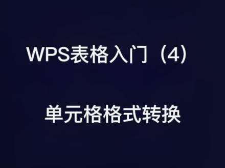 #WPS #Excel #新手入门