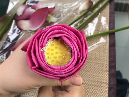 【泰式折荷花】一次折五种造型的荷花喔!