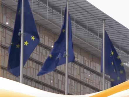 欧洲领导人:涉乌和平协议不能绕过欧洲和乌克兰 日内瓦会谈同日,欧委会主席冯德莱恩发布讲话视频,强调欧盟的三条“红线”,包括:不应武力改变边界、不得限制乌克兰军事能力和充分考量欧洲安全需求。#乌克兰#欧盟