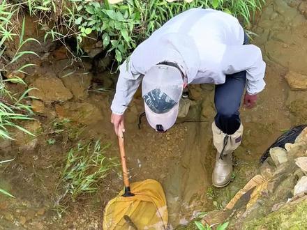 探钓小山沟鱼种丰富超多极品雷龙 钓友标点@探粤溪物 #路亚钓鱼#最美原生鱼#闲鱼省钱神券#神奇的闲鱼#吃喝玩乐先上闲鱼 野采