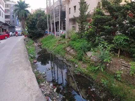 在臭水沟里钓鱼,被小学生羞辱了……#路亚 #揭阳 #微物路亚 #男人的玩具 #野钓