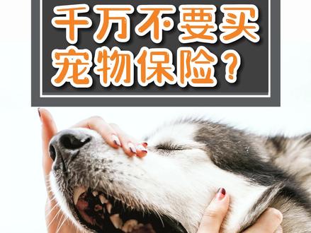 宠物生病是不是压力很大那给宠物买保险 #萌宠 #宠物知识 #家有萌宠 #宠物保障计划 #宠物生病
