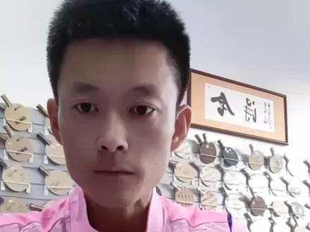 斯蒂卡真伪查询#乒乓球拍搭配 #因为热爱所以坚持 #乒乓球零基础教学 #乒乓球拍 #每天学习一点点