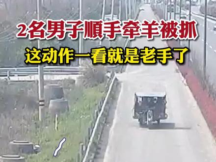 顺手牵“羊”,“偷鸡”取巧,民警:抓你没商量