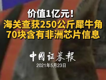 价值1亿元!海关查获250公斤犀牛角,70块含有非洲芯片信息