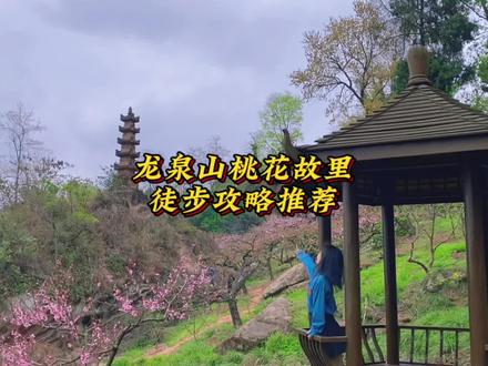 爬山赏花就来龙泉山桃花故里吧,这条人少好看的徒步攻略你可一定收藏好。#春日游玩攻略 #成都周边游 #赏花春游好去处 #周末去哪玩 #桃花故里