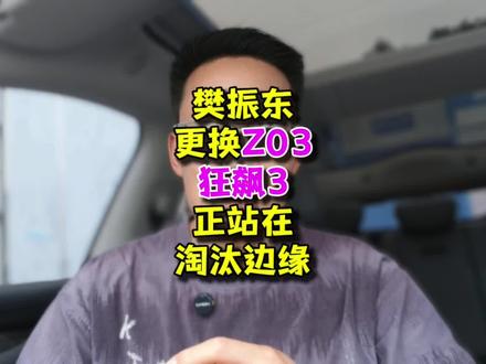 灌胶、刷油还能走多远?#乒乓球 #樊振东 #Z03 #乒乓球器材