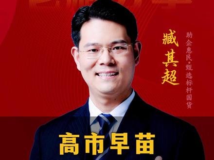 高市早苗这次闯下大祸! #涨知识 #三藏甄选