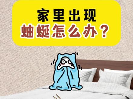 家里出现蚰蜒怎么办? #除虫 #蚰蜒#家庭灭虫