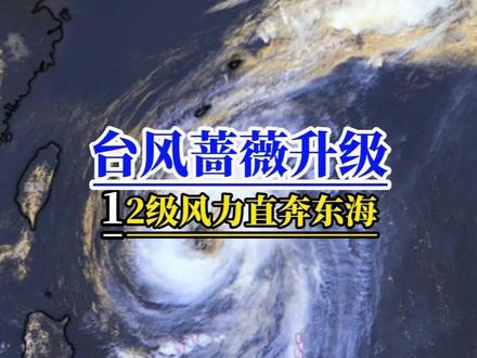 台风"蔷薇"升12级!12级风力直奔东海局地阵风超13级 今年的第6号台风"蔷薇"已经不是小朋友了——5月31日凌晨,它从强热带风暴级加强为台风级,中心附近最大风力12级(33米/秒),中心最低气压975百帕。早晨5点它还在菲律宾马尼拉东北方向约1010公里的洋面上,正以每小时15-20公里的速度向北偏西方向移动。好消息:它不会登陆我国。坏消息:它路过的时候还是会"顺便"搞事情。5月31日夜间至6月1日夜间,东海东部海域将有7-9级大风,部分海域风力可达10-11级、阵风12-13级,台湾以东洋面6-7级、阵风8级。预计6月1日在琉球群岛附近转向东北方向移动。据中国天气网分析,"蔷薇"最强有望达到强台风级别,但它最"贴心"的一点是会卷走大量水汽——等于给华南的暴雨按下暂停键。台风不登陆还帮你抽湿气,这算什么?坏得很善良?#天气 #台风蔷薇 #东海大风 #台风路径 #海上安全