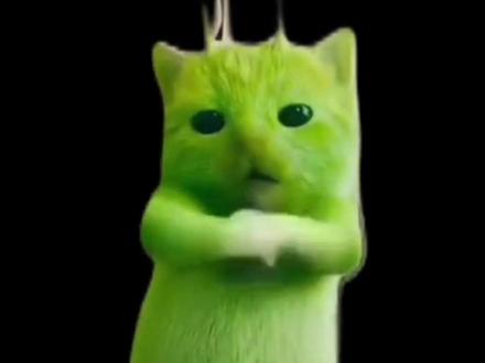 小鸡舞挑战ai教程! #剪映
#小鸡舞挑战教程 #格鲁特尔grr手势舞
#grr手势舞外星猫素材
#外星小绿猫跳舞
外星小绿猫跳舞教学
外星小绿猫跳舞模板
绿色外星小猫
模仿外星小猫跳舞
小鸡舞特效教程
小鸡舞ai特效
外星小绿双人舞
外星小绿猫特效
外星小绿猫跳舞
外星小绿猫跳舞素材
外星小绿猫跳舞表情包
外星小绿猫跳舞原视频
外星小绿
grr手势舞外星猫素材
grr手势舞外星猫
grr手势舞小绿素材
grr手势舞外星猫素材下载
grr舞蹈原版
grr手势舞教程
grr手势舞外国
小猫素材
grr手势舞变装
grr手势舞迪丽热巴grr手势舞外星猫素材
格鲁特尔grr手势舞
格鲁特尔
grr手势舞外星猫
格鲁特尔grr原版视频
格鲁特尔一起跳舞
格鲁特手势舞
格鲁特尔怪奇物语舞蹈分解
格鲁特尔可爱舞蹈
格鲁特尔小猫舞蹈
小鸡舞挑战小猫
小鸡舞挑战素材
小鸡舞挑战小绿猫素材
小鸡舞挑战
小鸡舞挑战小鸡舞
小鸡舞挑战绿色猫猫
小鸡舞挑战手势舞
小鸡舞
小鸡舞挑战直接拍同款吗