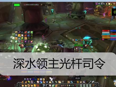 #魔兽世界怀旧服 #防骑 毒蛇神殿深水领主,仇恨分离卡掉小弟,秒变光杆司令