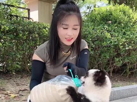 茅台:只要姑姑在,你就不用羡慕别人,秋天的第一杯奶茶安排!#狗狗 #秋天的第一杯奶茶 #宠物vlog #原创搞笑