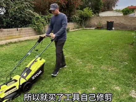 在美国自家草坪不修剪会被罚款吗?#美国生活