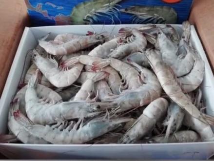 立即停售!郑州紧急排查这种食品!