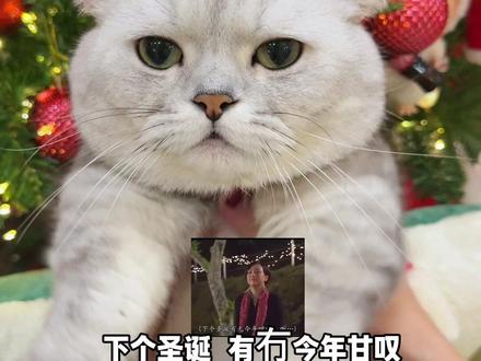 粤语圣诞歌第三首! 欢迎投稿!!#粤语 #粤语圣诞歌 #圣诞歌 #张嘟嘟#鸡公煲之歌