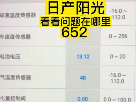 数据流看不懂没关系 #日产阳光