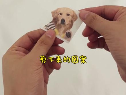 原来全自动烫画机还能烫帆布袋😍 #宠物定制 #乐立克 #乐立克烫画机 #乐立克热升华纸 #拼豆