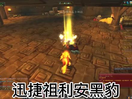 #魔兽世界 #刷坐骑 迅捷祖利安黑豹。