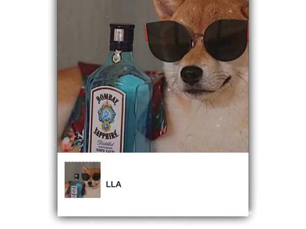 换上臭屁头像 吵架理直气壮#搞怪头像