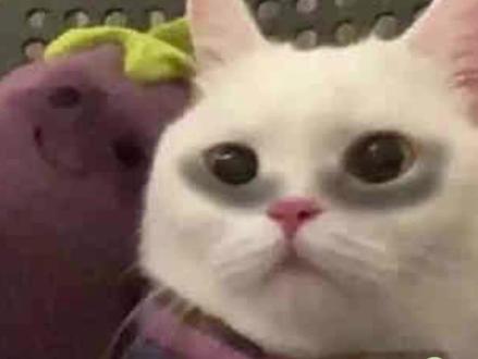 还在为考研英语熬秃头吗 #夸克深度搜索 #夸克涨知识 #夸克老师 #考研 #英语