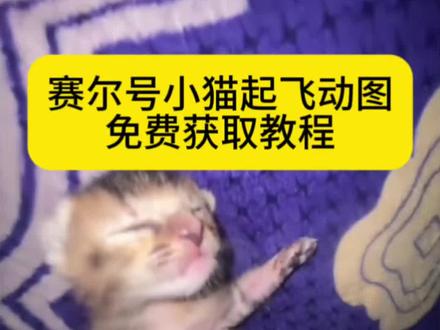 你们要的赛尔号起飞小猫原图获取教程来了 赛尔号小猫原视频 小猫起飞动图 小猫起飞动图下载 小猫起飞动图gif 赛尔号起飞小猫原图 小猫起飞原图 #剪映 #赛尔号小猫 #赛尔号小猫起飞 #小猫起飞 #小猫起飞动图 河南号起飞、四川号起飞 小猫起飞赛尔号 赛尔号小猫表情包 赛尔号小猫原视频素材 小猫起飞原视频睡觉 赛尔号动态表情包 赛尔号小猫动图 无水印小猫起飞素材