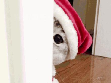 诡秘你到底还学不学了#百醇 #电脑 #论文 #万万没想到