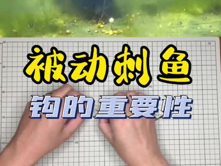 #罗尼钓组 最便宜的方法提高中鱼率。就是吧五毛的鱼钩换成一块的,实在没有拿磨刀石蹭两下也行#钓鱼