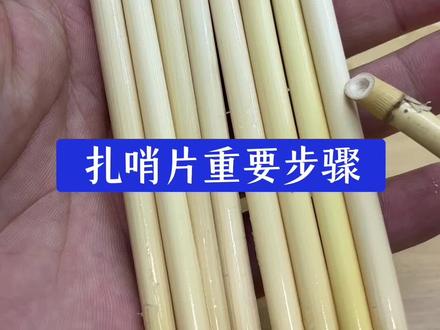 刮芦苇通苇膜 芦苇哨片制作的重要步骤 #哨片 #唢呐 #乐器