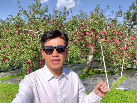 日本苹果核心产区带你走一走