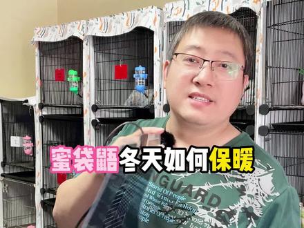 蜜袋鼯的保暖!#科学养宠攻略 #蜜袋鼯 #玩家蜜袋鼯 #沈阳蜜袋鼯