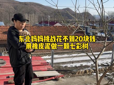 干树枝和儿童橡皮泥的碰撞,超美#农村生活#记录真实生活 #橡皮泥#粘土#浪漫