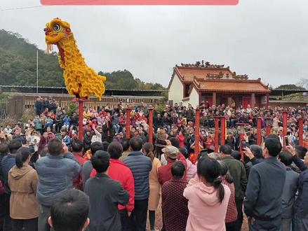 #广西 #传统文化 #舞狮表演 #民俗文化 #正月十八 传闻狮王佛山有黄飞鸿,广西有藤县,今天就让你们看看狮王的实力!