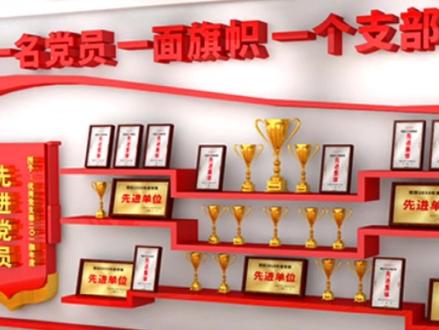 有实力的企业都这样设计荣誉墙,你的公司有吗? #文化墙设计 #荣誉 #上热门