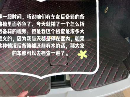 检查一下你家11备胎槽,不知道有没有惊喜呢?#撸车日常 #零跑c11 #零跑汽车 #漏水检测 #备胎槽有水