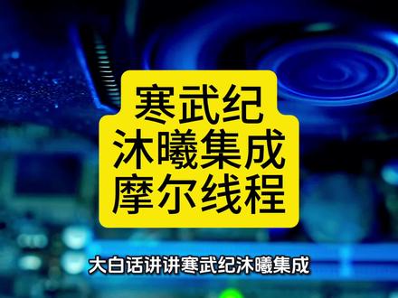 寒武纪 沐曦 摩尔 ,芯片技术区别揭秘!