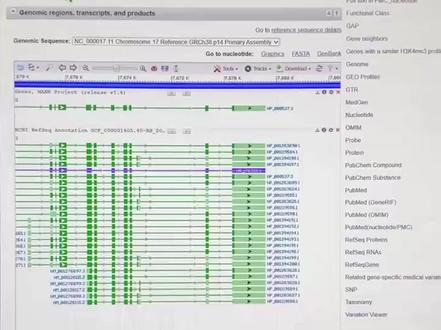 如何查找一个基因的信息#研究生#科研#研究生日常 #豆包app